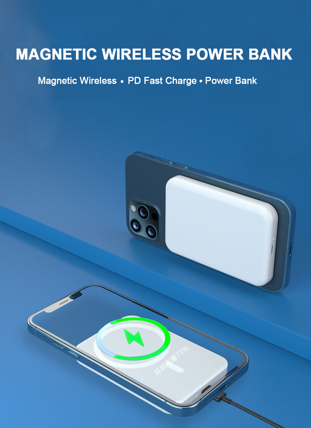 Magnetic Wireless Charger PWC-01